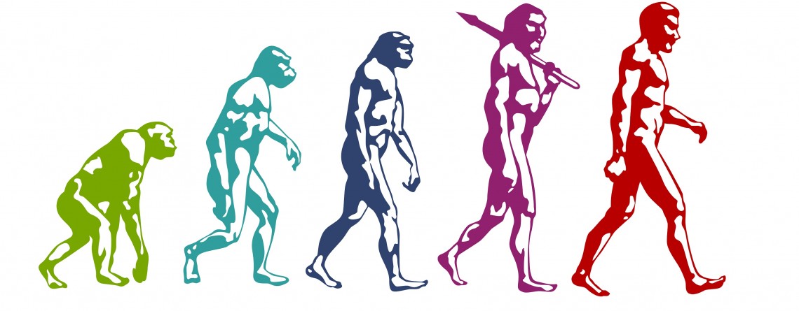Evolucion